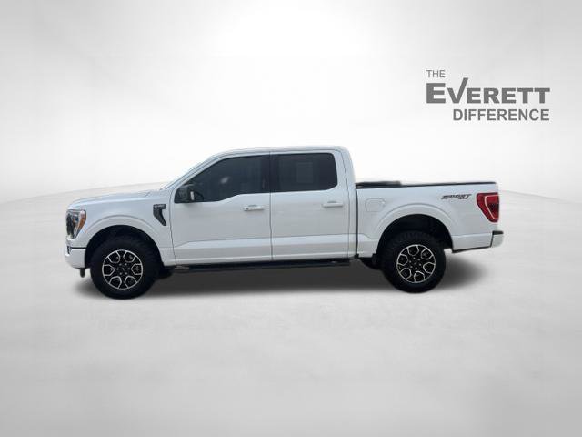 Used 2023 Ford F150 XLT w/ Equipment Group 302A High AWD/4WD image 4