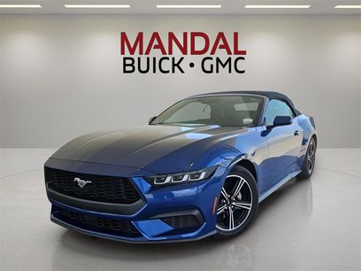 Used 2024 Ford Mustang Premium