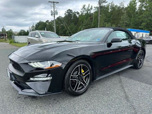 Used 2019 Ford Mustang Premium RWD image 1