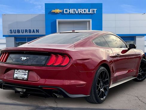 Used 2019 Ford Mustang Coupe w/ Ecoboost Performance Package image 2