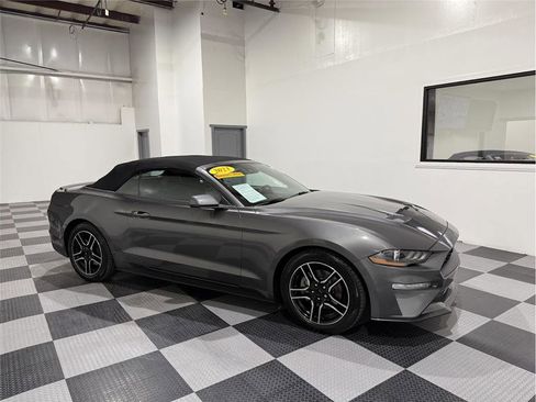 Used 2023 Ford Mustang Premium image 1
