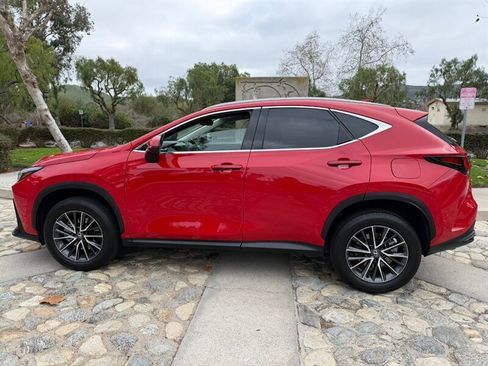 Used 2024 Lexus NX 250 FWD image 8