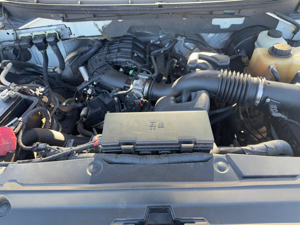 Used 2012 Ford F150 XL w/ XL Plus Pkg RWD image 13