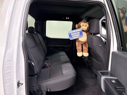 Used 2025 Ford F150 STX w/ Equipment Group 200A RWD image 25