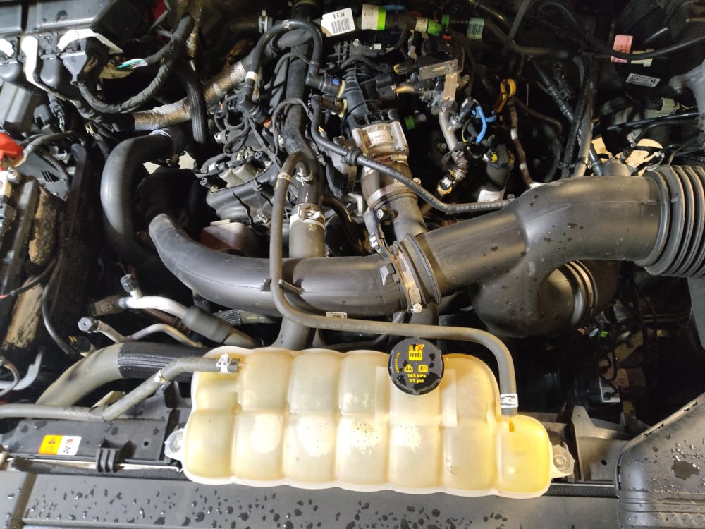 Used 2019 Ford F150 XL w/ Equipment Group 101A Mid AWD/4WD image 30