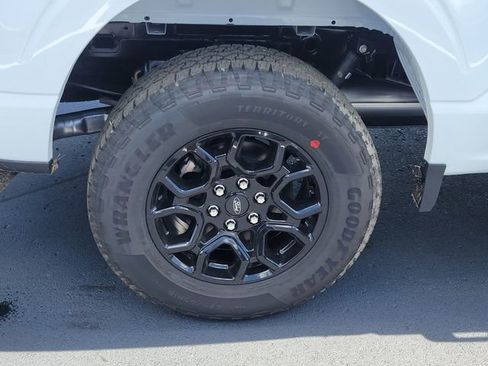 New 2025 Ford F150 XLT w/ Equipment Group 301A Standard image 5