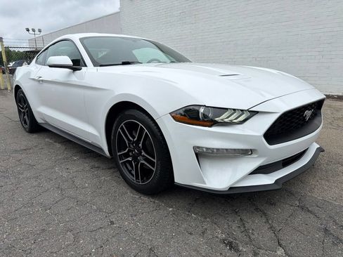 Used 2019 Ford Mustang EcoBoost Premium Coupe 2D w/ Equipment Group 101A RWD image 8