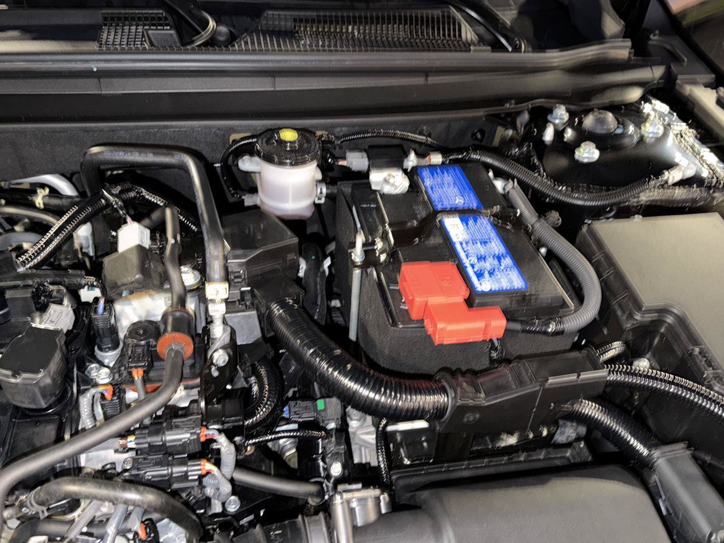 Used 2025 Honda Accord LX image 33