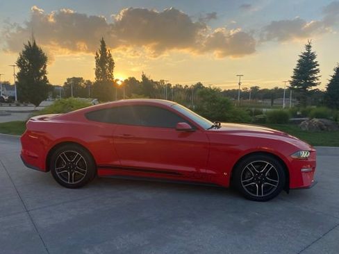 Used 2019 Ford Mustang Premium RWD image 2