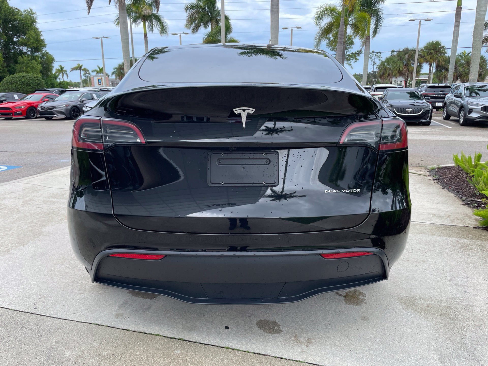 Used 2025 Tesla Model Y Long Range AWD/4WD image 3