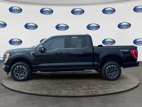Used 2023 Ford F150 XLT w/ Equipment Group 302A High AWD/4WD image 2