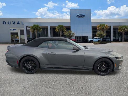 Used 2025 Ford Mustang Convertible w/ Mustang Nite Pony Package image 3