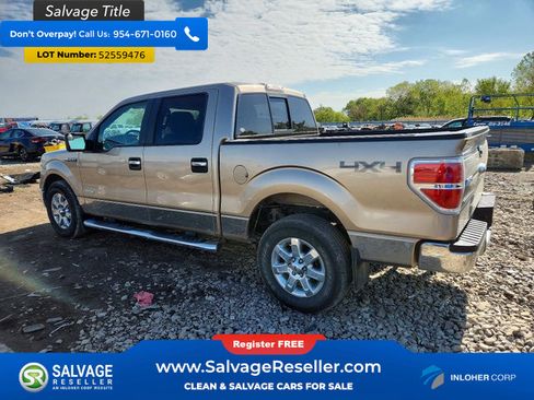 Used 2014 Ford F150 XLT w/ Equipment Group 302A Luxury AWD/4WD image 3