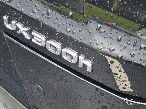 Used 2025 Lexus UX 300h AWD w/ Cold Area Package image 4