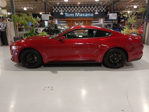 Used 2015 Ford Mustang Premium w/ Equipment Group 201A image 9