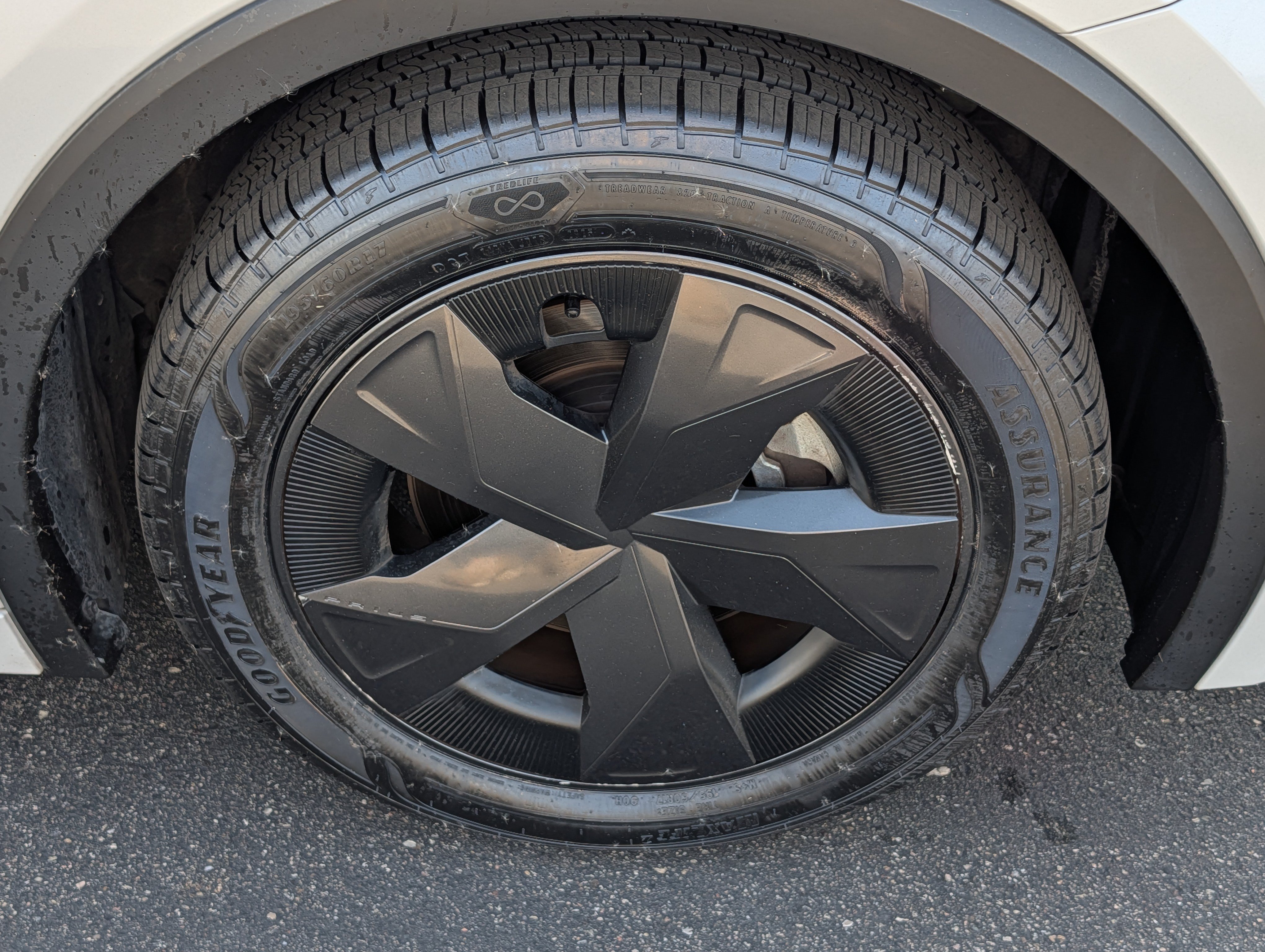 Used 2025 Toyota Prius LE AWD/4WD image 15
