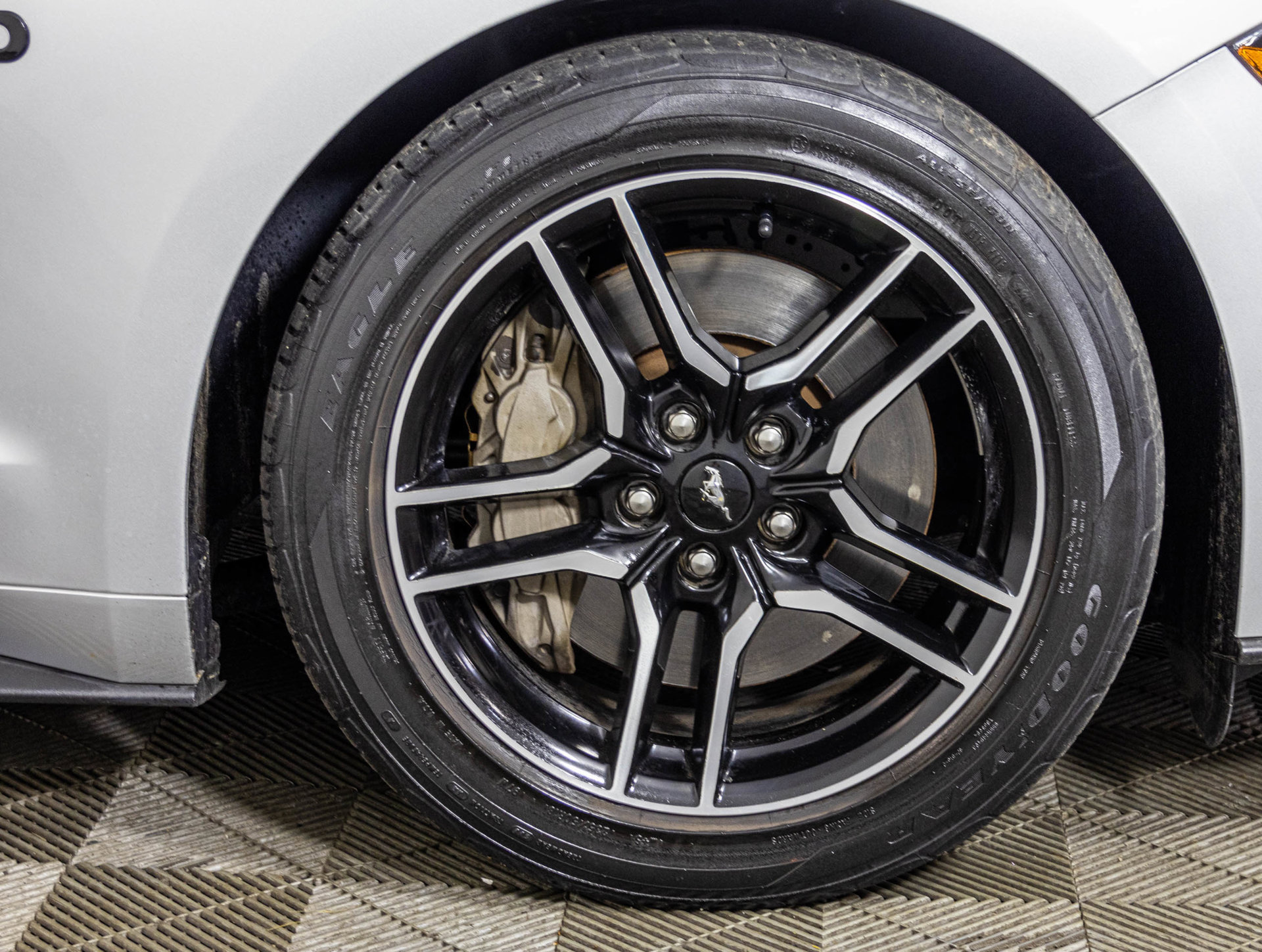 Used 2019 Ford Mustang GT Premium RWD image 47