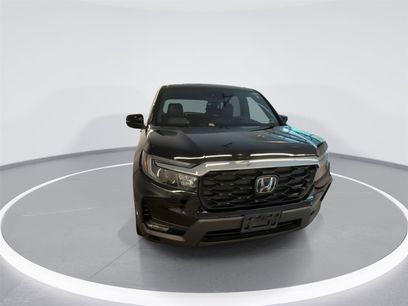 Used 2023 Honda Passport EX-L