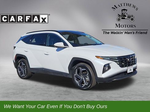 Used 2024 Hyundai Tucson Limited image 1