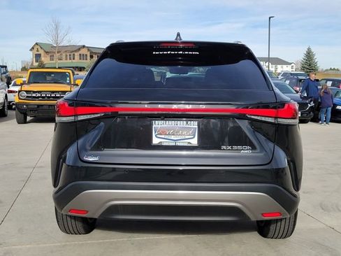 Used 2023 Lexus RX 350 w/ Cold Area Package image 10