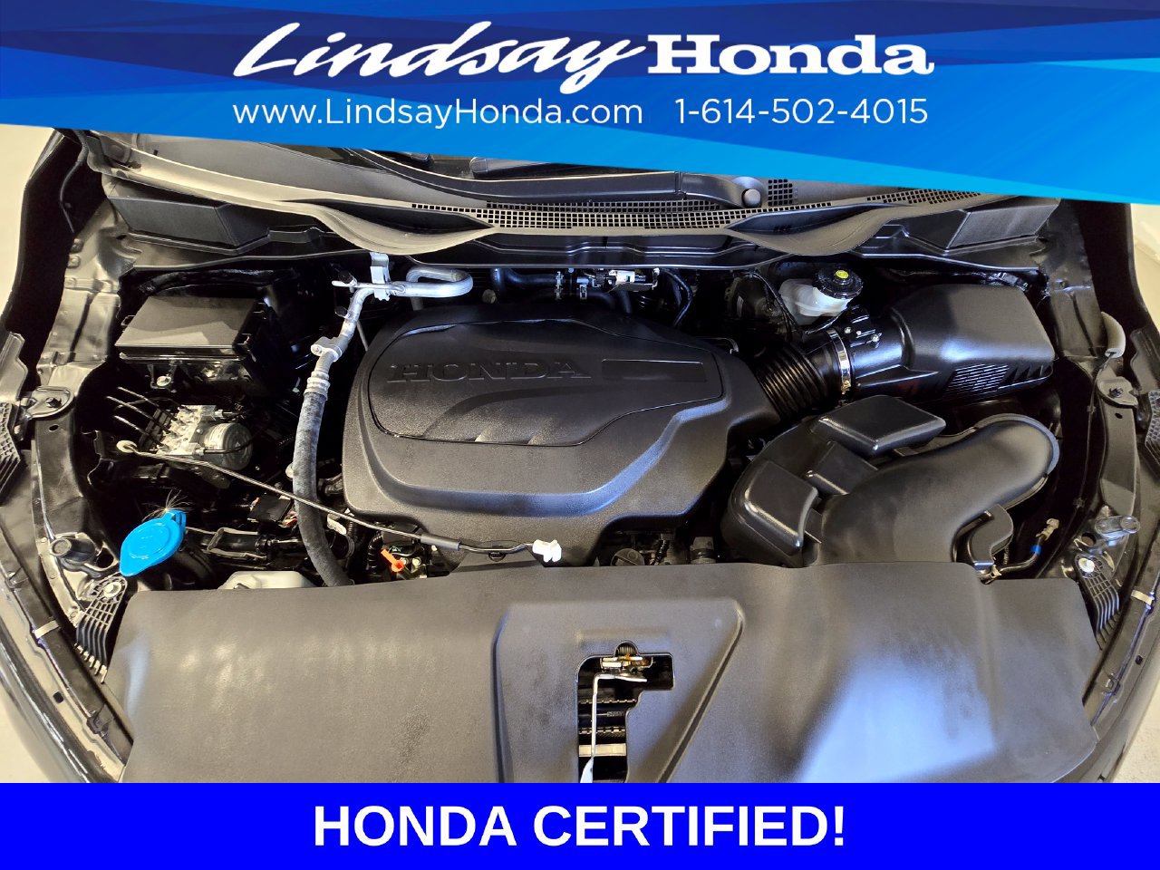 Certified 2025 Honda Odyssey EX-L image 25
