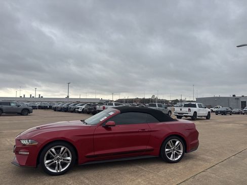 Used 2020 Ford Mustang Premium w/ Pony Package image 13