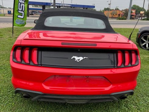 Used 2019 Ford Mustang Premium RWD image 2
