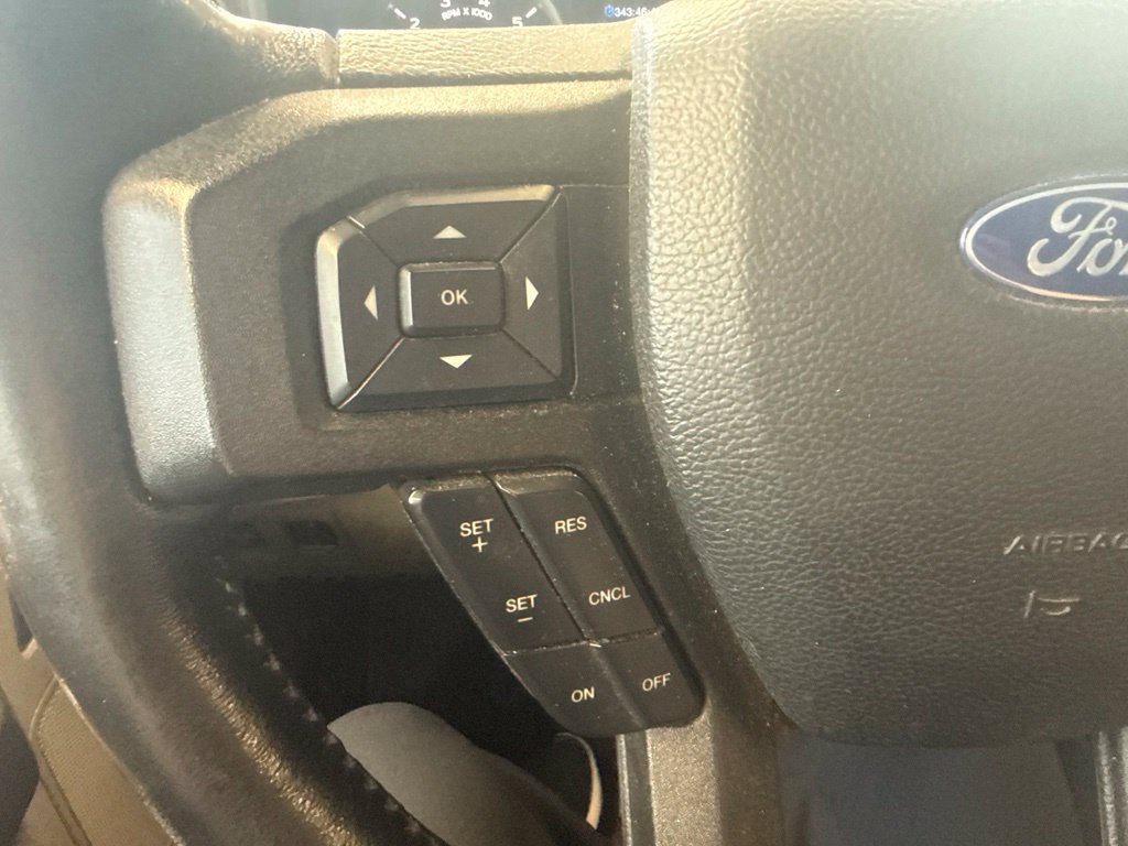 Used 2019 Ford F150 XLT w/ Equipment Group 302A Luxury AWD/4WD image 17