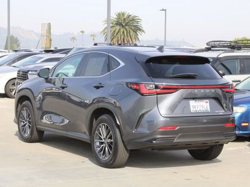 Certified 2024 Lexus NX 350h AWD w/ Cold Area Package image 19