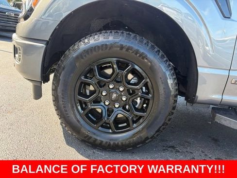 Used 2025 Ford F150 XLT w/ Equipment Group 302A MID AWD/4WD image 9