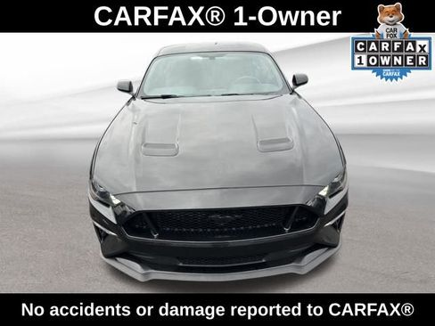 Used 2020 Ford Mustang GT w/ Equipment Group 301A image 2