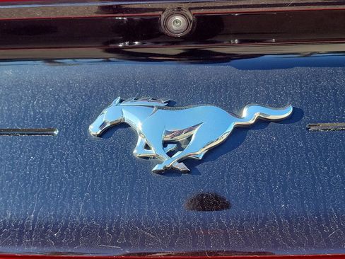 Used 2021 Ford Mustang Coupe w/ Equipment Group 101A image 7