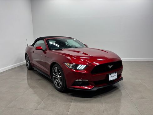 Used 2016 Ford Mustang Premium w/ Equipment Group 201A RWD image 4