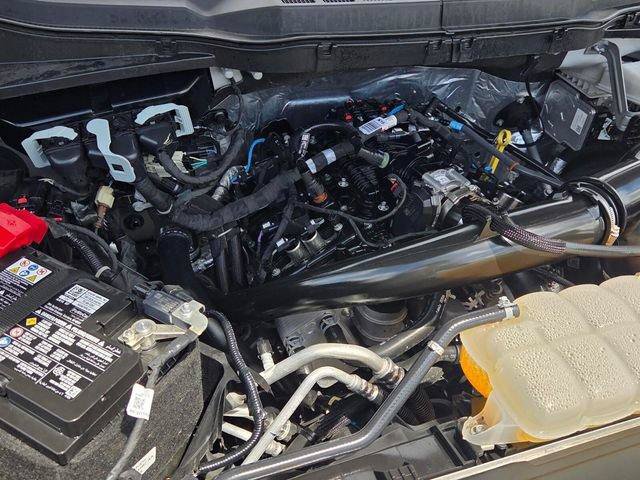 Used 2025 Ford F150 STX w/ Equipment Group 200A RWD image 20