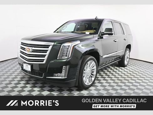 Used 2016 Cadillac Escalade Platinum AWD/4WD image 1