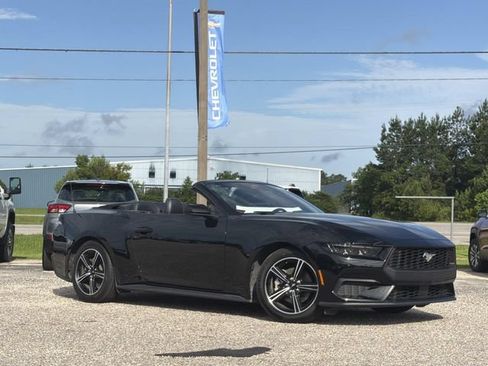 Used 2025 Ford Mustang Premium RWD image 12