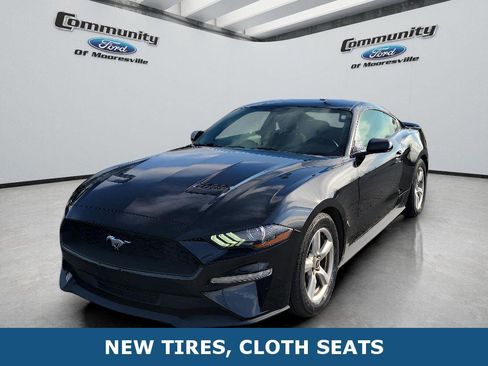 Used 2019 Ford Mustang Coupe image 1