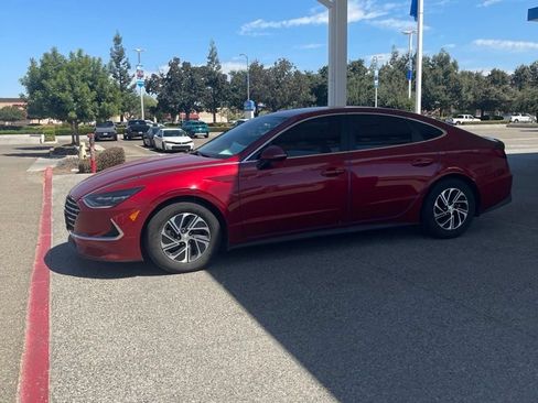 Used 2023 Hyundai Sonata Blue FWD image 1