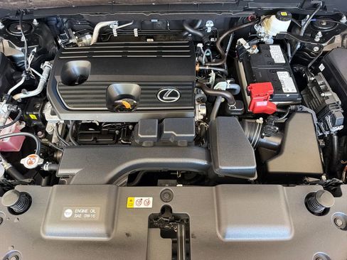 Used 2025 Lexus NX 250 FWD w/ Cold Area Package image 37