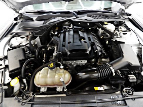 Used 2018 Ford Mustang Premium w/ Equipment Group 201A image 19