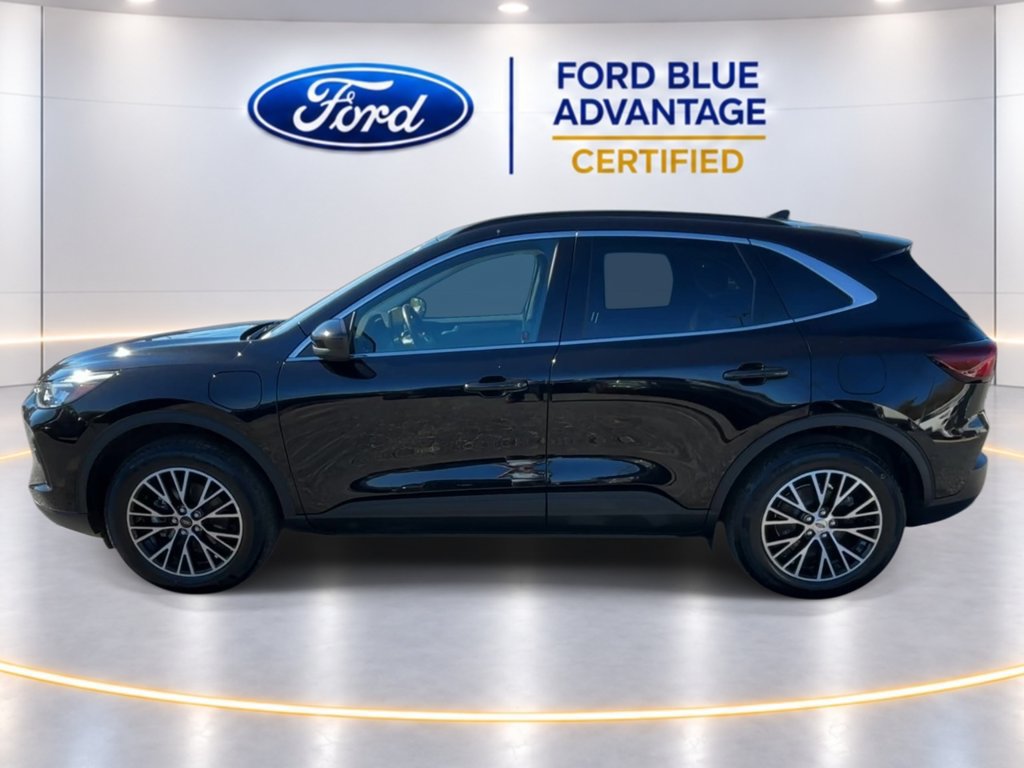Used 2025 Ford Escape SE FWD image 6