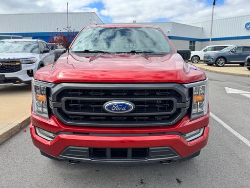 Certified 2023 Ford F150 XLT w/ Equipment Group 302A High AWD/4WD image 4