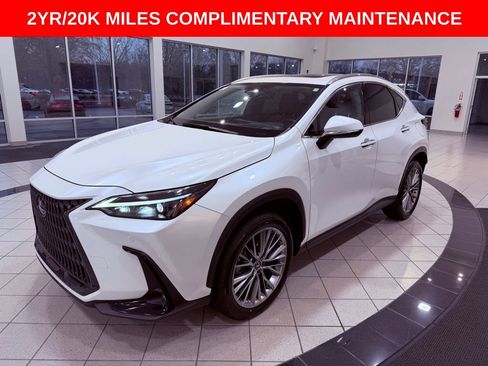 Certified 2023 Lexus NX 350h AWD w/ Premium Package image 3