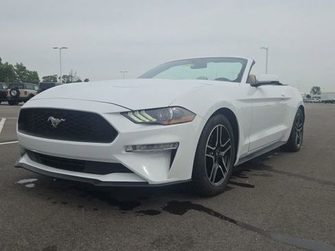Used 2019 Ford Mustang Premium RWD image 4