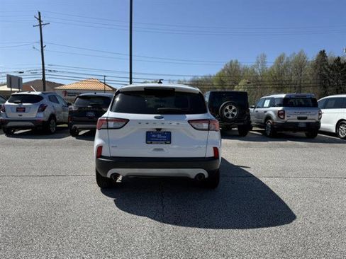 Used 2020 Ford Escape SE FWD image 4