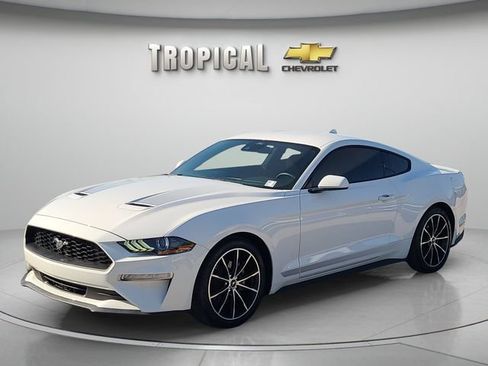 Used 2022 Ford Mustang Coupe w/ Wheel & Stripe Package RWD image 1