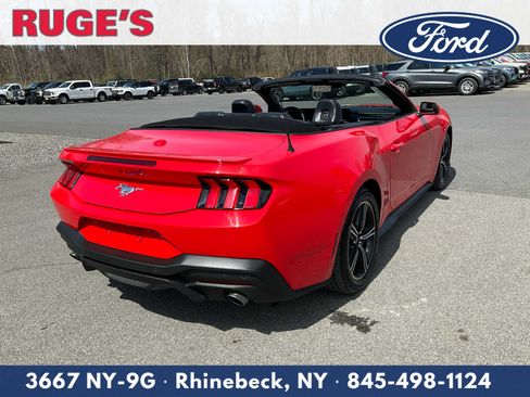 Used 2025 Ford Mustang Premium RWD image 6