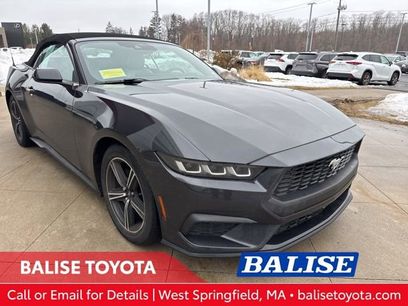 Used 2024 Ford Mustang Premium