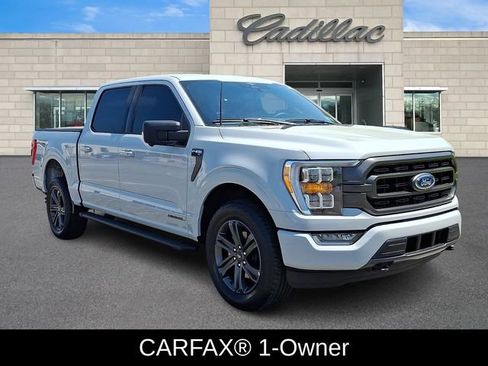 Used 2023 Ford F150 XLT w/ Equipment Group 302A High AWD/4WD image 2
