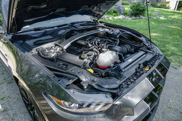 Used 2015 Ford Mustang Shelby GT350 RWD image 15
